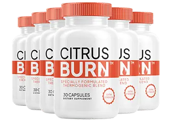 Visivra-Official-Website citrusburn-six-bottle-pack-small